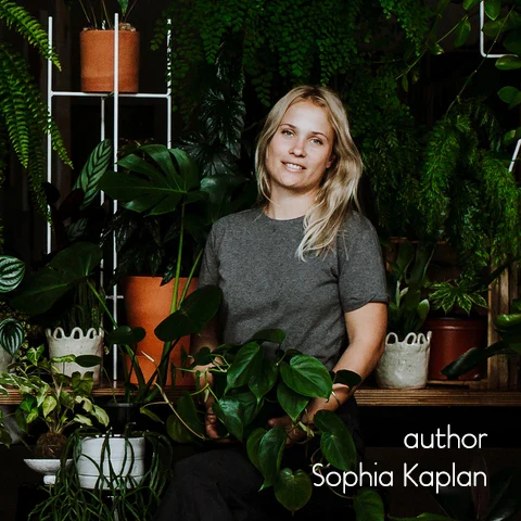 Book - Leaf Supply A Guide to Keeping Happy Houseplants - Image 7