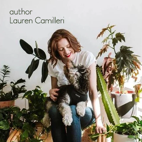 Book - The Leaf Supply Guide to Creating Your Indoor Jungle - Image 10