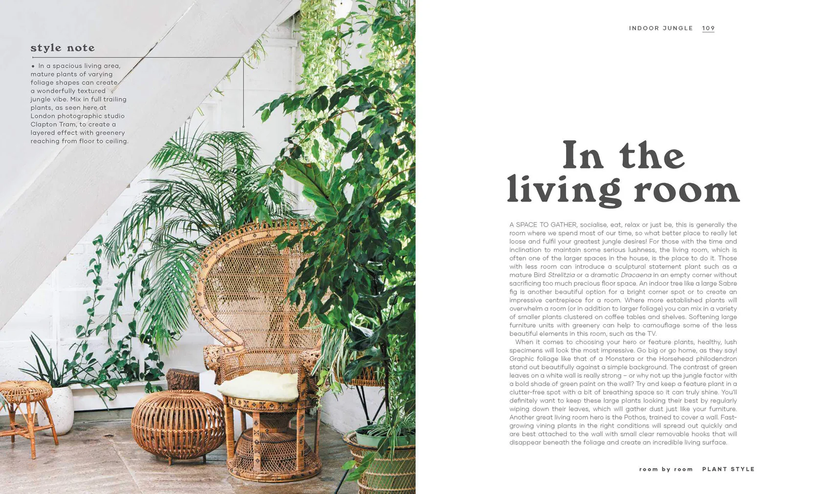 Book - The Leaf Supply Guide to Creating Your Indoor Jungle - Image 8