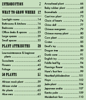 Book - Yates Top 50 Indoor Plants and How Not to Kill Them - Image 4