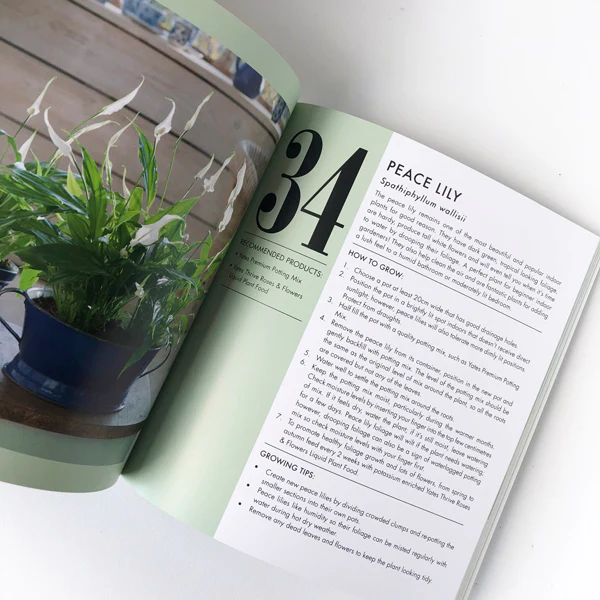 Book - Yates Top 50 Indoor Plants and How Not to Kill Them - Image 7