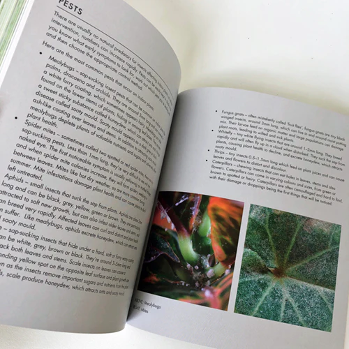 Book - Yates Top 50 Indoor Plants and How Not to Kill Them - Image 8