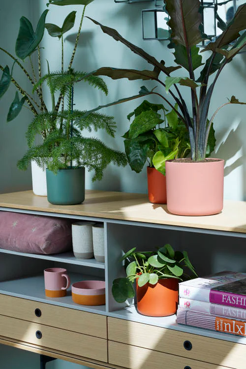 Cover Pot - Elho B.For Soft - 16cm Leaf - Image 4