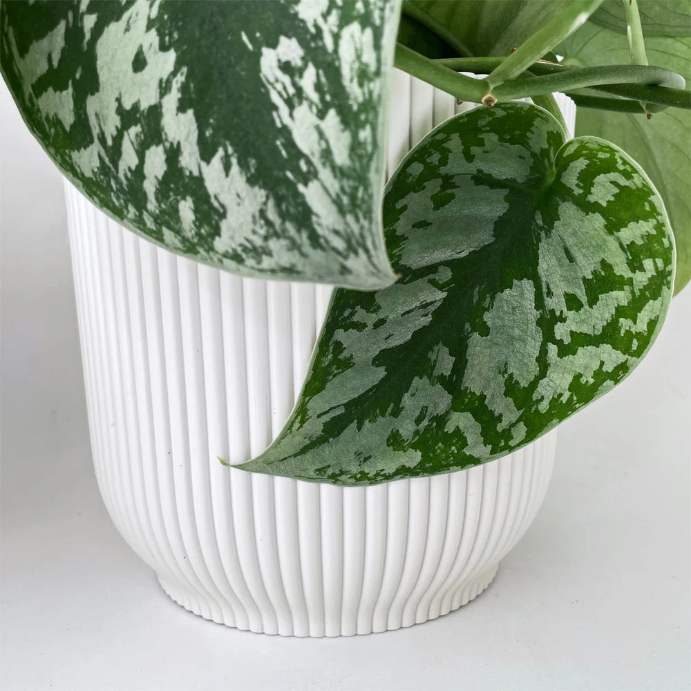Cover Pot - Elho Vibes - 11cm Eggshell White - Image 2