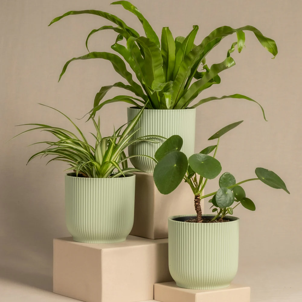 Cover Pot - Elho Vibes - 16cm Mint Sorbet - Image 3