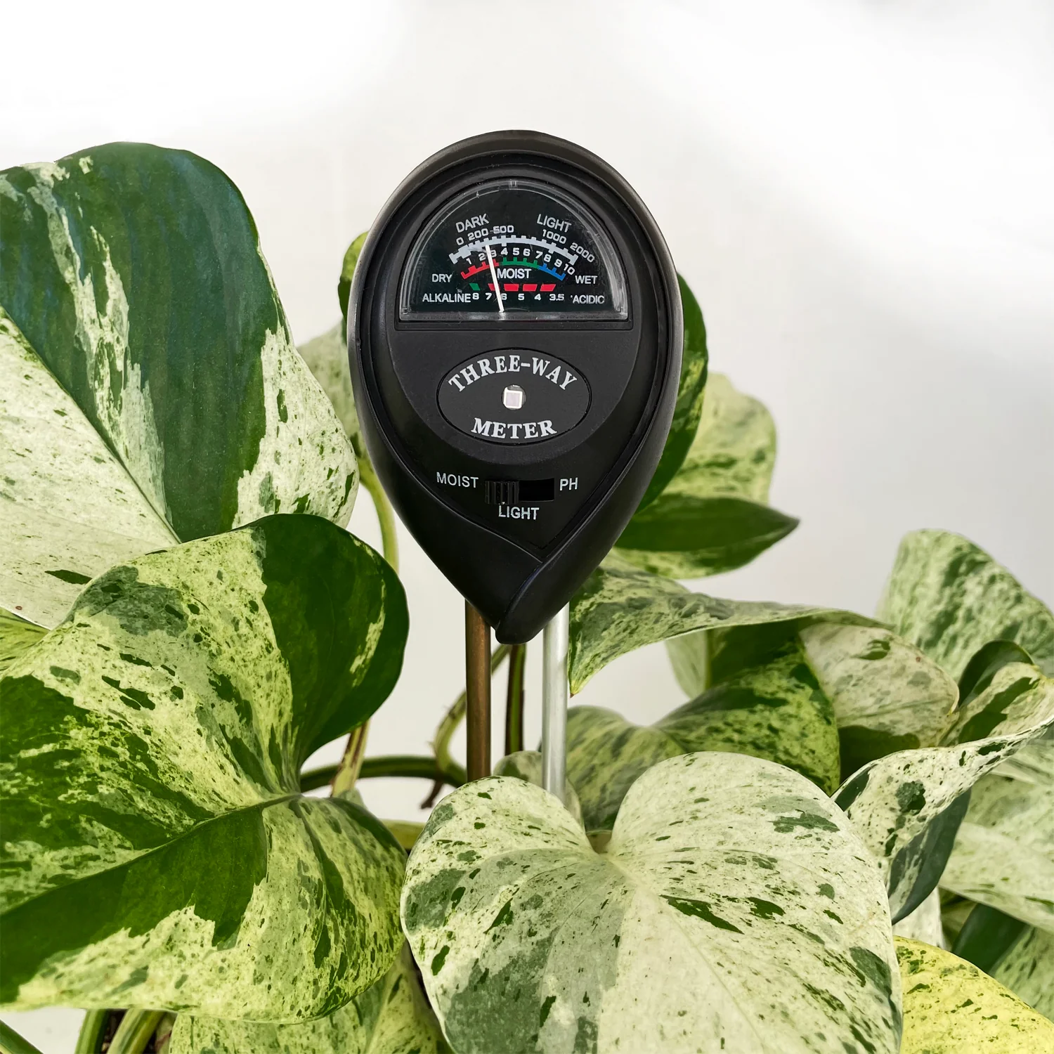 Crew 3-in-1 Water Meter - Light pH and Moisture Soil Meter - BLACK - Image 3