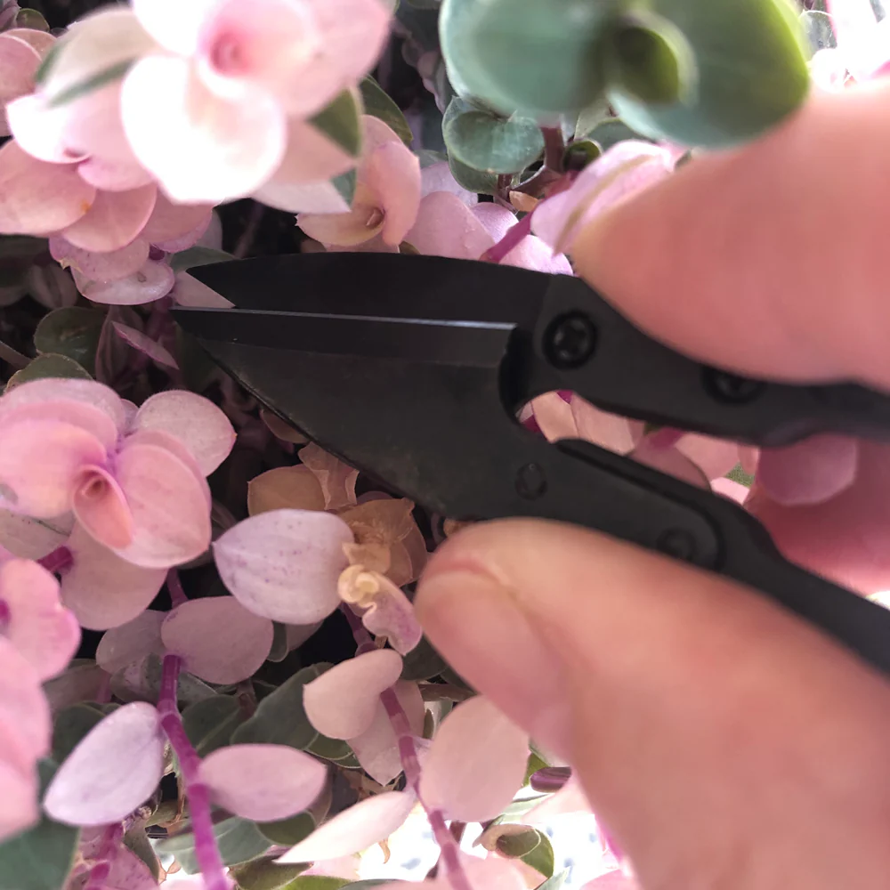 Crew Mini Snips - Matte Black - Image 4