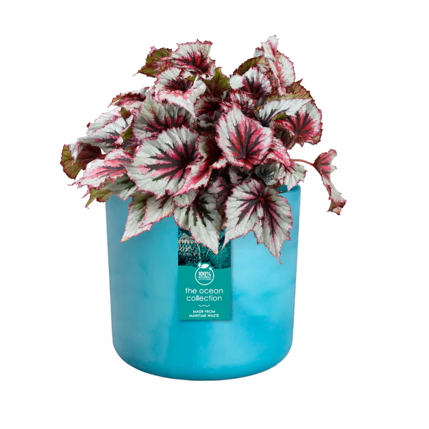 Elho Ocean Collection - 100% Recycled - Atlantic Blue - 22cm - Image 8