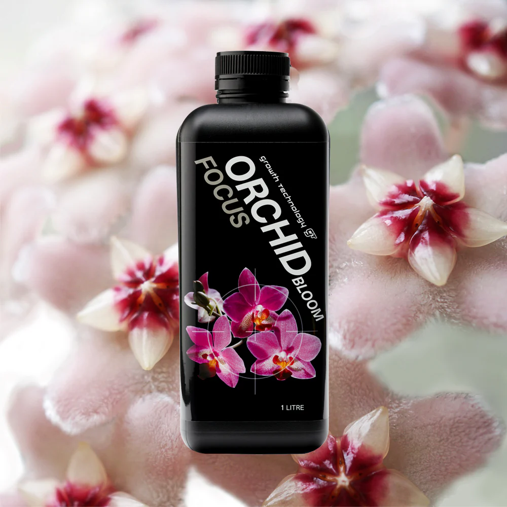 Growth Technology Orchid Focus BLOOM - 1 Litre - Image 3