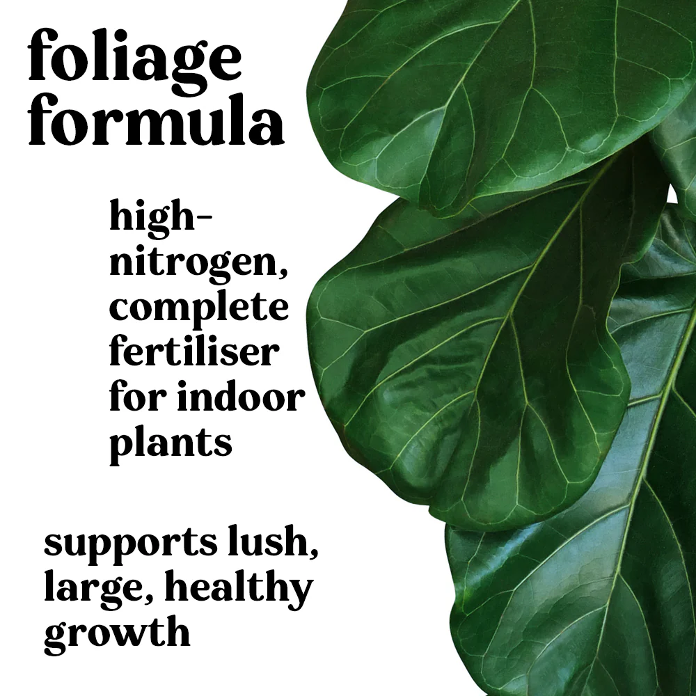 NEW Plant Runner Indoor Plant Food 100ml - Image 4