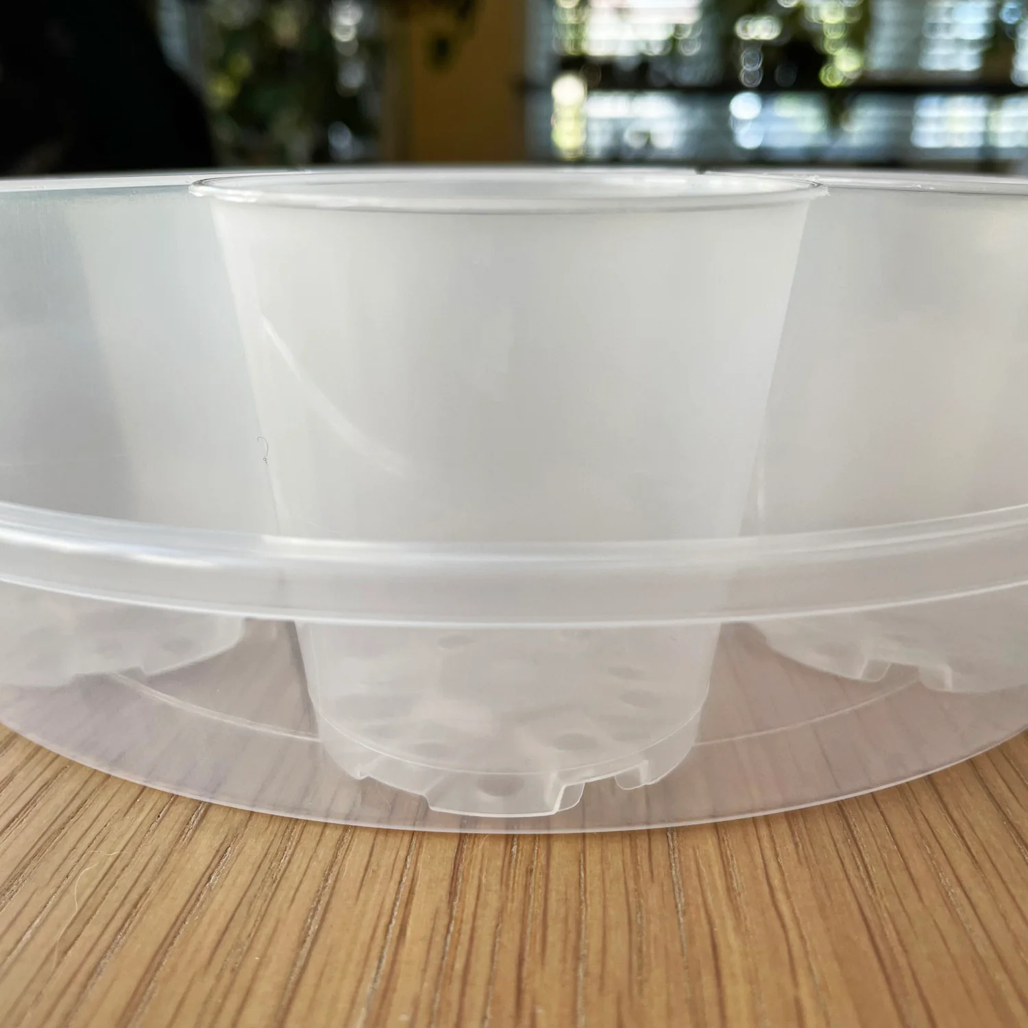 Rain Clear Saucer - EXTRA LARGE - Best match for 20cm to 23cm pots - From $2.40 each - Image 7